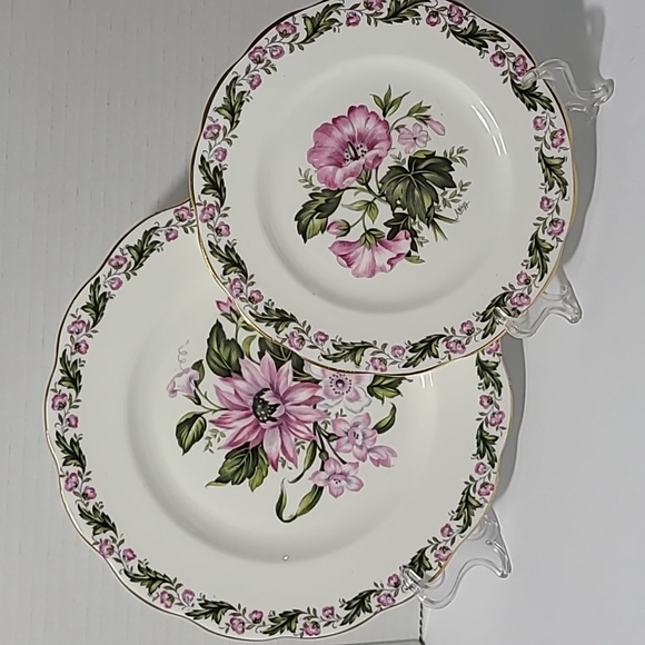 Royal Albert Other - Vintage Royal Albert Dinner Plate and Saucer, Bone China, England, Cotswold